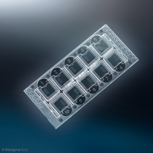 Kit sediment urinar -1000 determinari- Fast-read 102